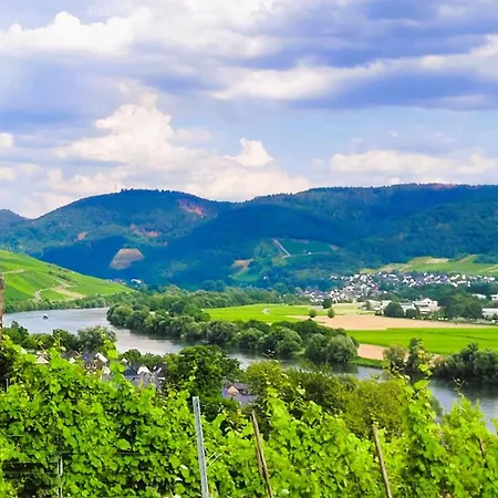 Binz-meyer Schlossberg Apartment Lieser