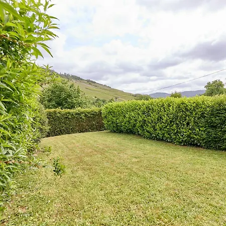 Apartment Gaestehaus Binz-meyer Schlossberg Lieser