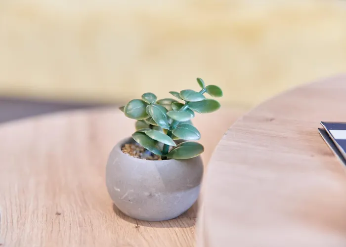 Apartamento Gaestehaus Binz-meyer Schlossberg Lieser